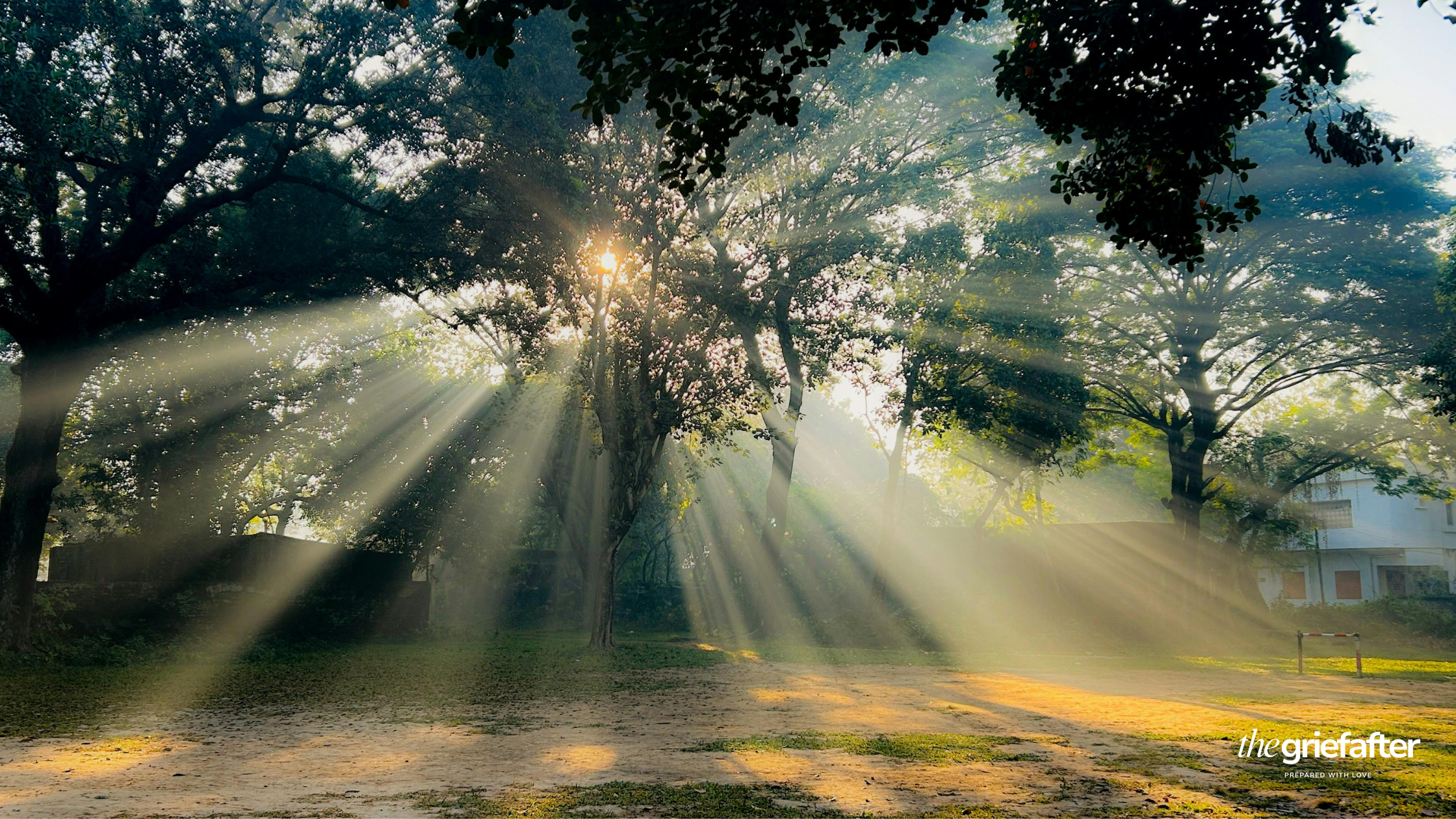 The Power of Thoughtful Planning: Making Funerals Less Stressful for Loved Ones