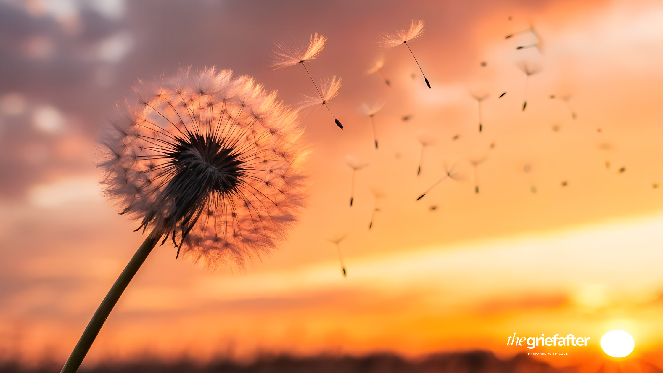 Grief Doesn’t Have to Be Overwhelming: How Preparation Helps